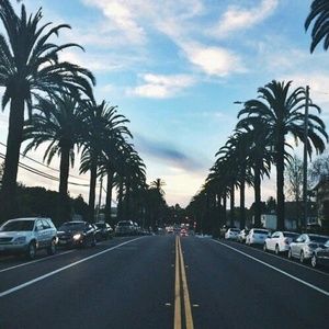 Meet your Posher, Sophia